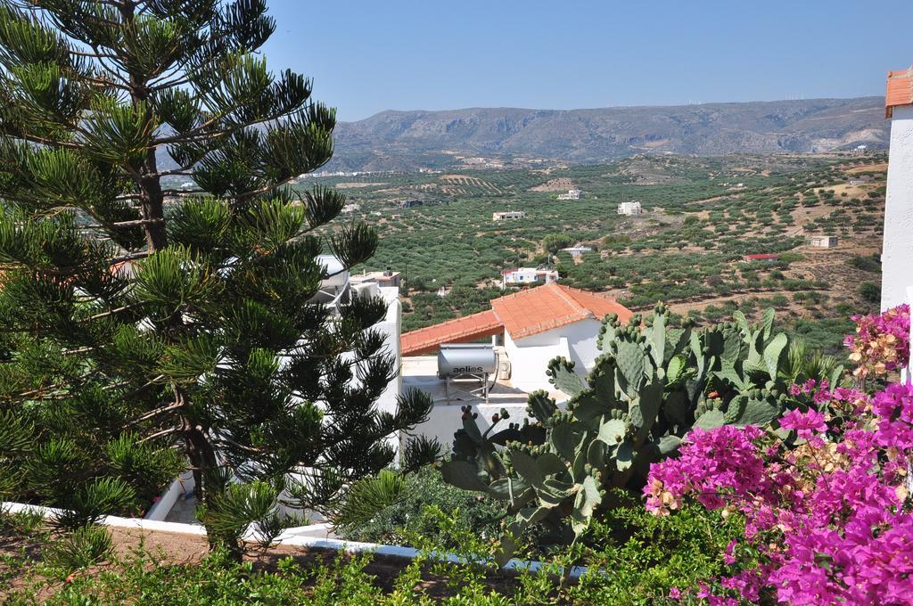 Castri Village Hotel Palaikastro Exterior foto
