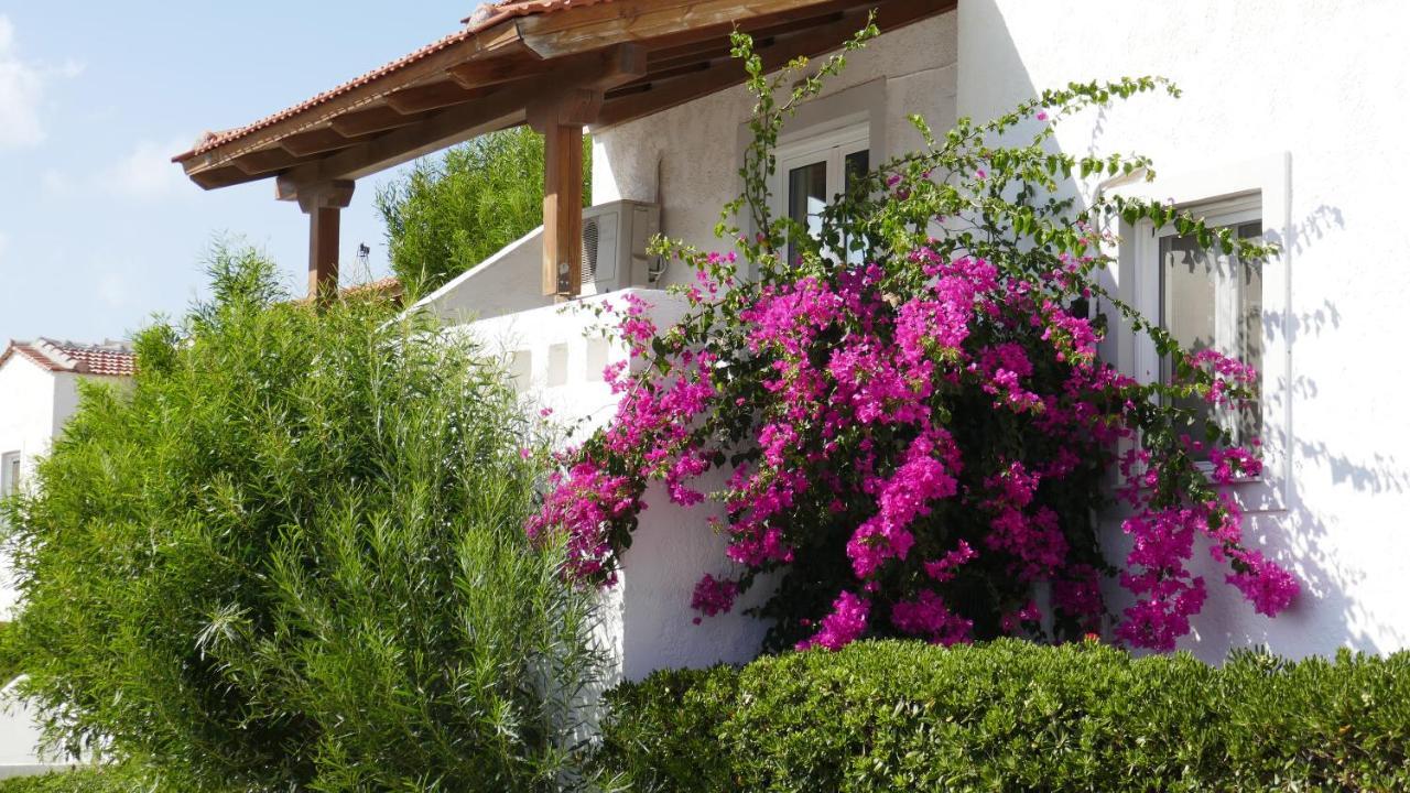 Castri Village Hotel Palaikastro Exterior foto